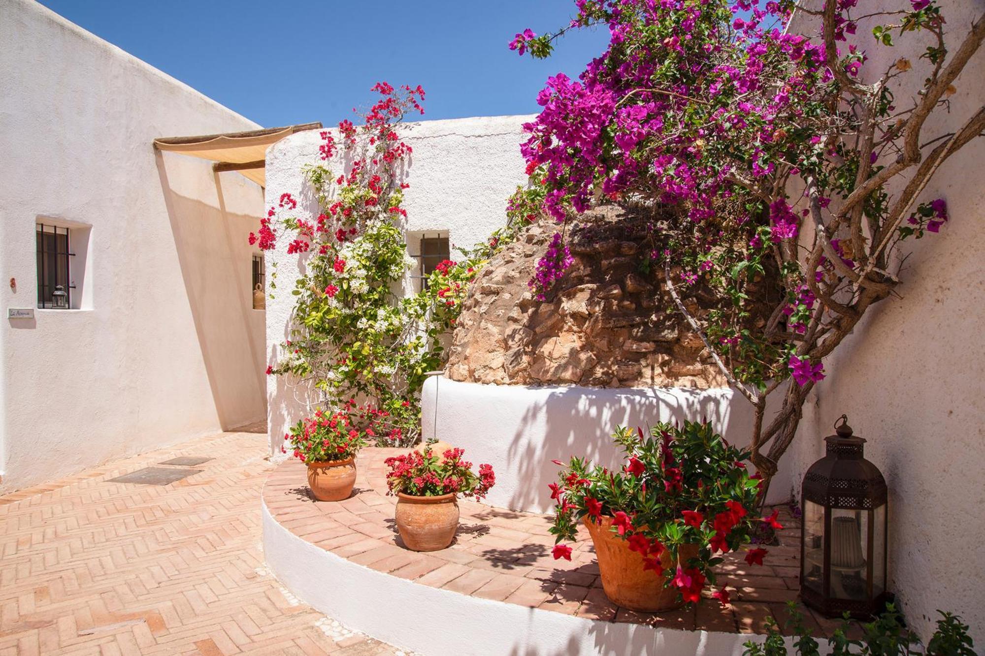 Cortijo Los Malenos Agua Amarga  Exteriér fotografie